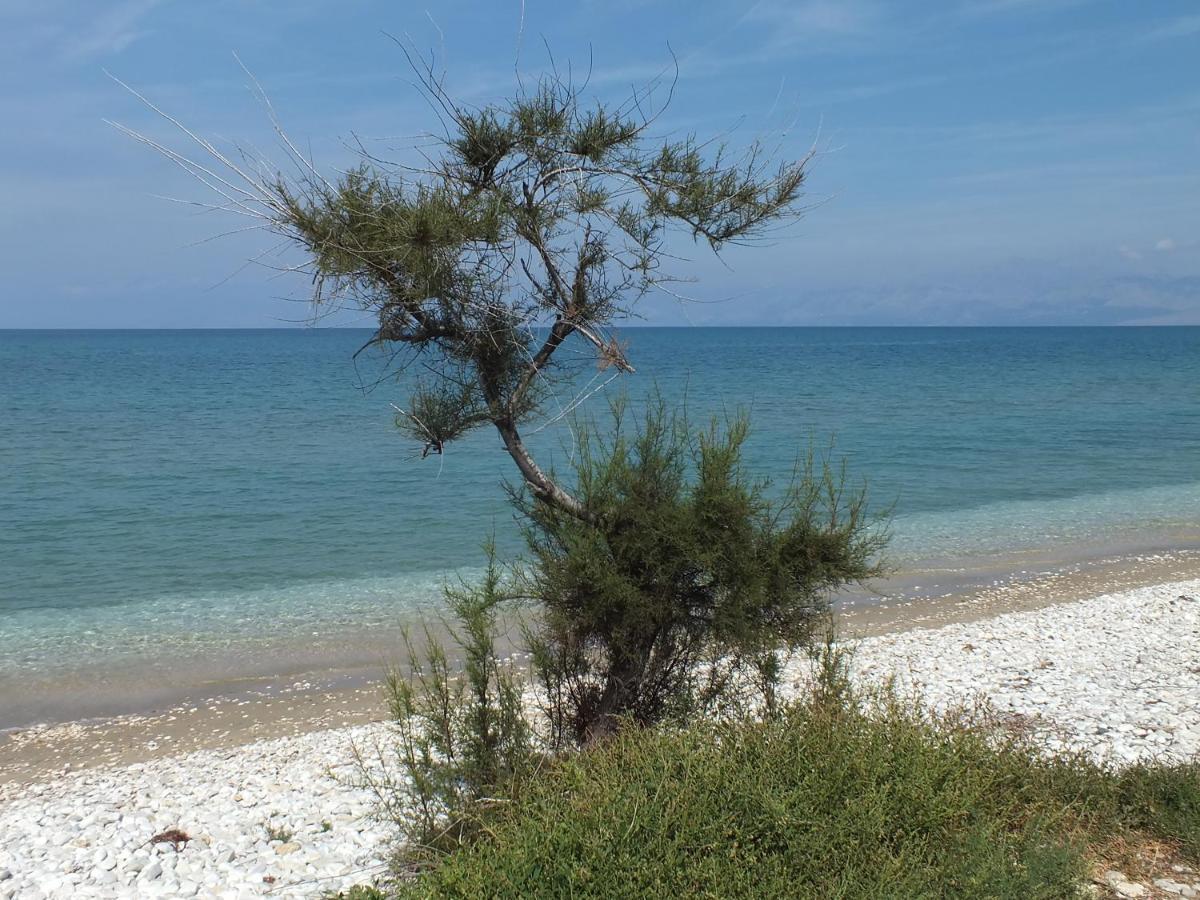 Frosos Beachfront Maisonette Acharavi Acharavi  Esterno foto